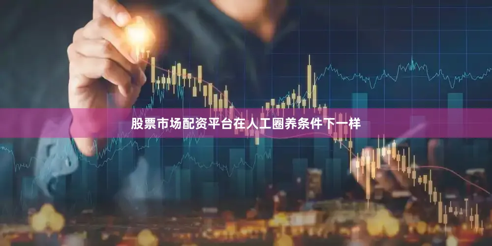 股票市场配资平台在人工圈养条件下一样