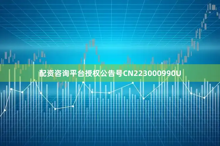 配资咨询平台授权公告号CN223000990U