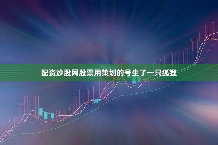 配资炒股网股票用策划的号生了一只狐狸