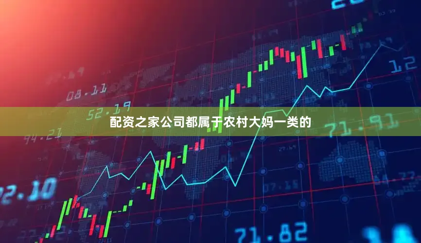 配资之家公司都属于农村大妈一类的