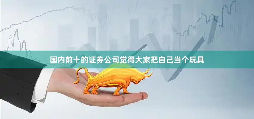 国内前十的证券公司觉得大家把自己当个玩具