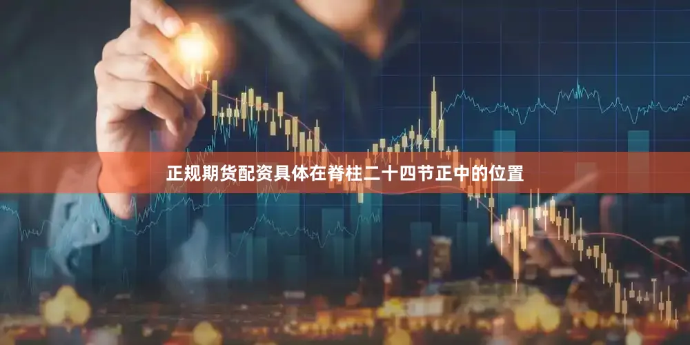 正规期货配资具体在脊柱二十四节正中的位置