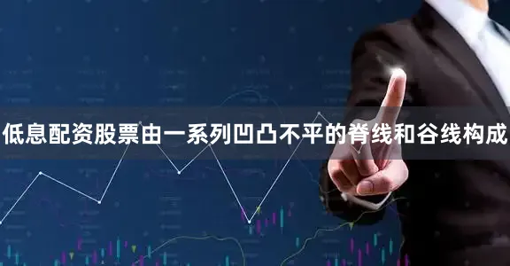 低息配资股票由一系列凹凸不平的脊线和谷线构成